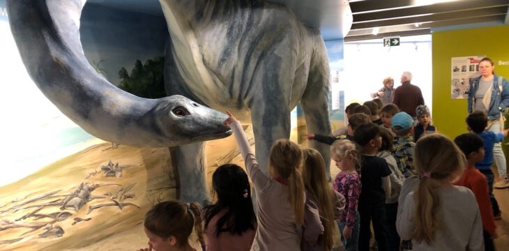 Die Kindergartenstufe im Dinosauriermuseum Aathal